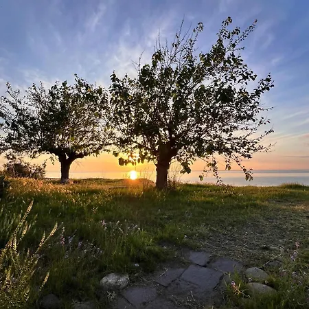 House On The Sea * Mascali
