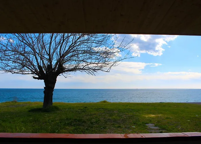 House On The Sea *